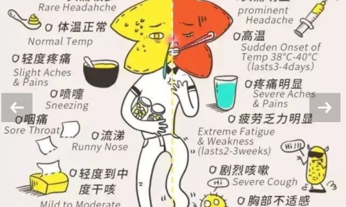 辅酶q10原料价格走势网 - 网站提供辅酶q10对心脏的危害小常识、辅酶q10最佳服用时间和用量